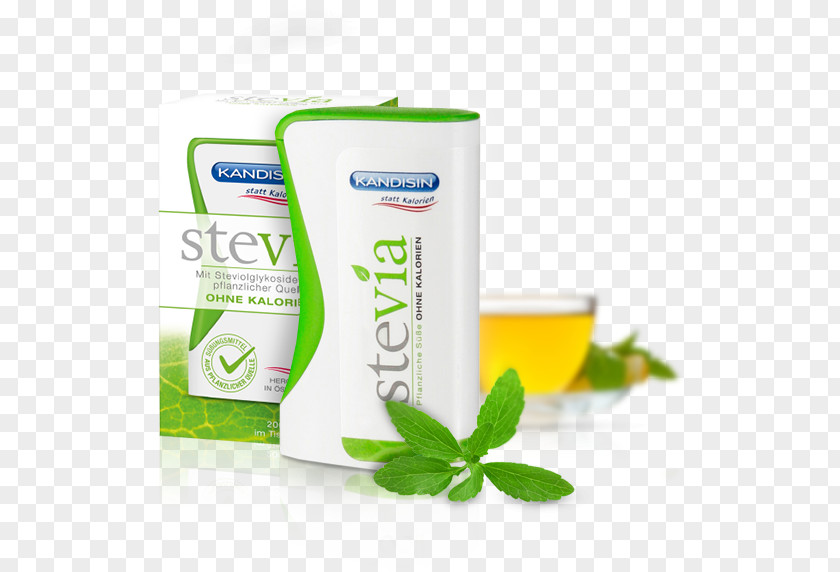 Plant Herbalism Stevia PNG
