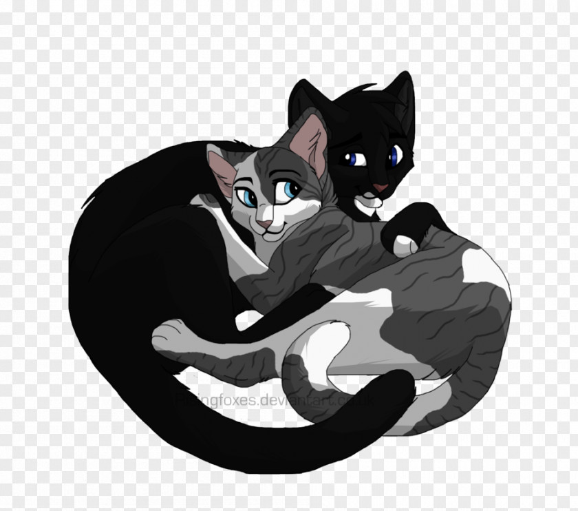 Cat Whiskers Domestic Short-haired Black Paw PNG