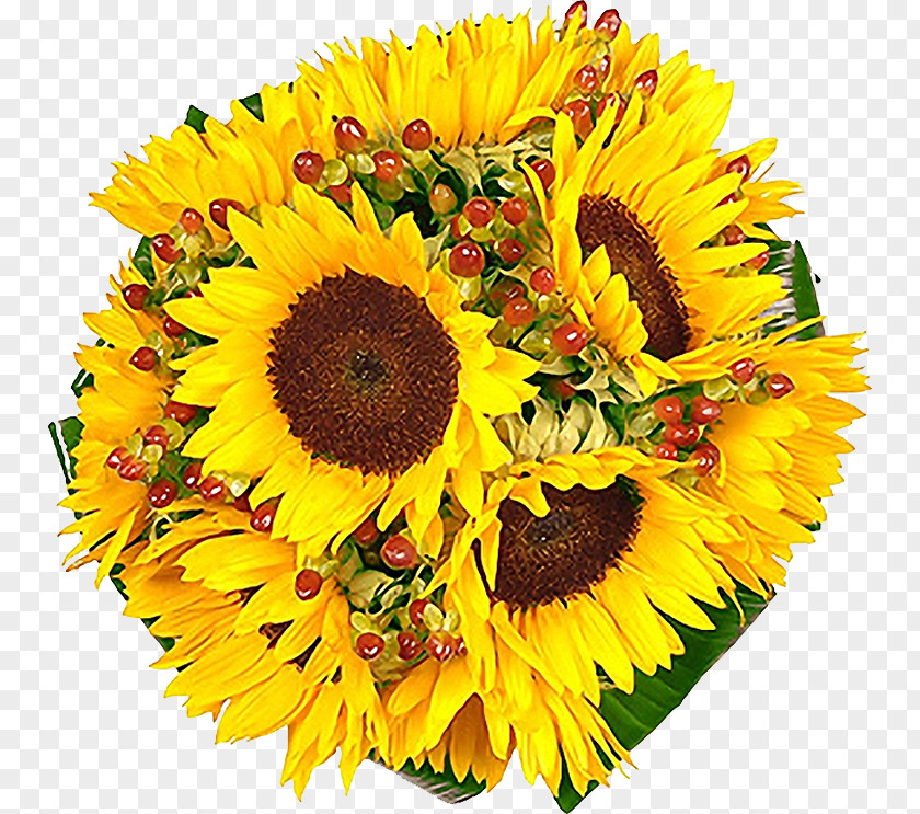 Flower Common Sunflower Bouquet Cut Flowers PNG