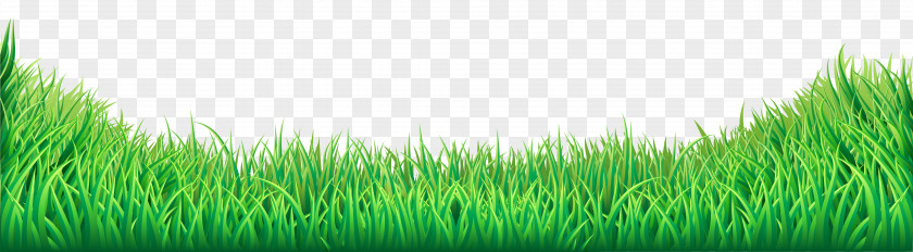 Grass Transparent Clip Art Image Lawn PNG