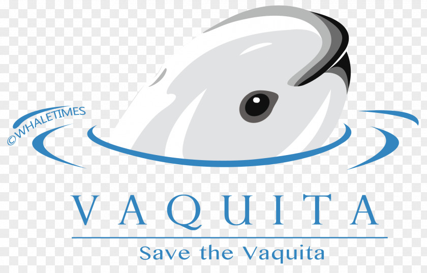 Oregon Coast Aquarium The Vaquita: Biology Of An Endangered Porpoise Species Logo PNG