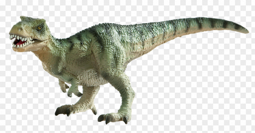 Tyrannosaurus Europasaurus Triceratops Giganotosaurus Velociraptor PNG