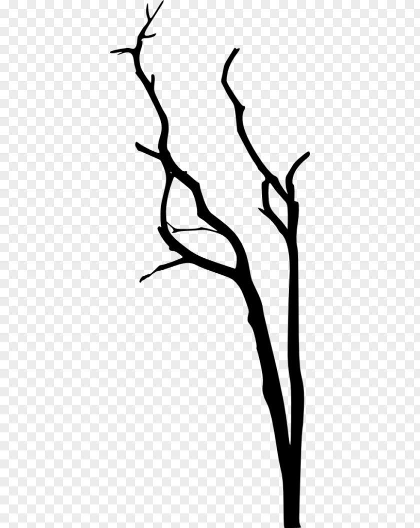 Blackandwhite Plant Tree Branch Silhouette PNG