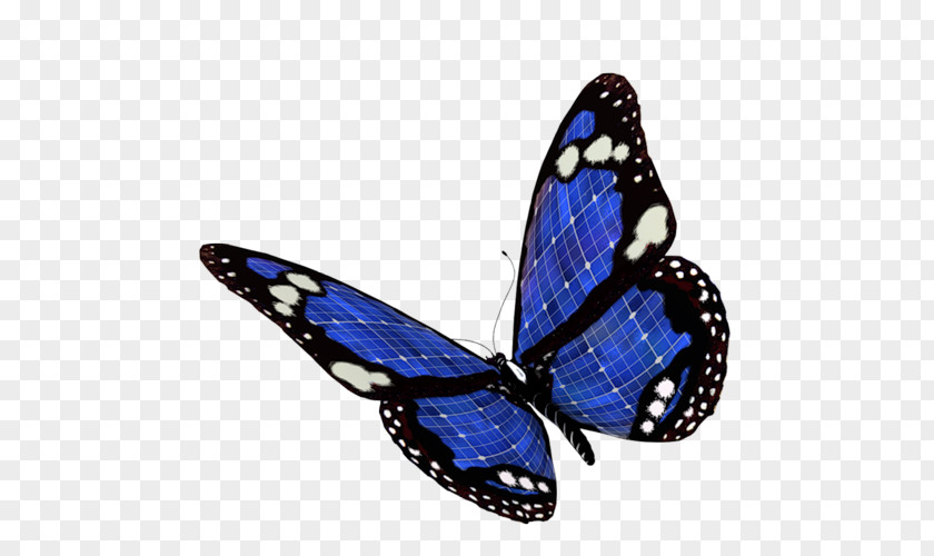 Butterfly Monarch Papillon Dog Clip Art PNG
