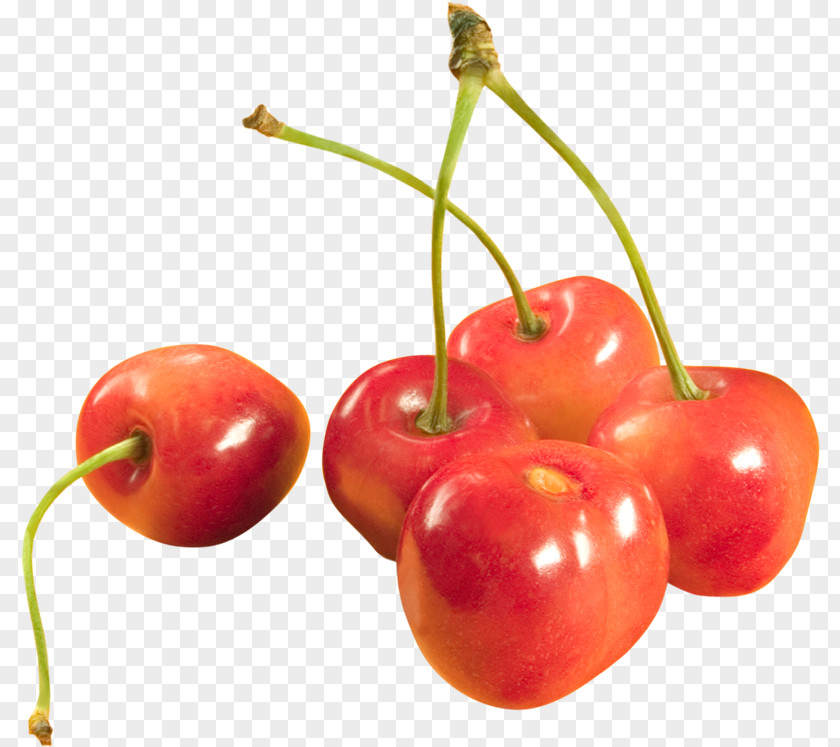 Frutas Cherry Cerasus Clip Art PNG
