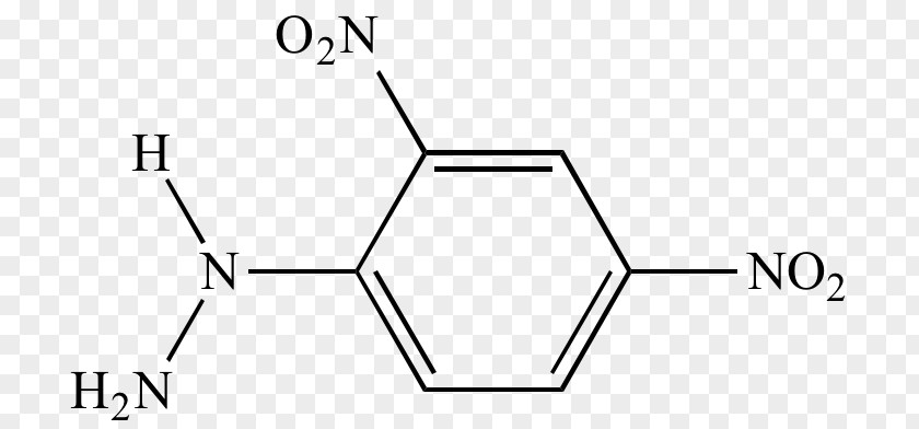 Hydrazide Polyethylene Terephthalate Polybutylene Chemical Industry Chemistry PNG