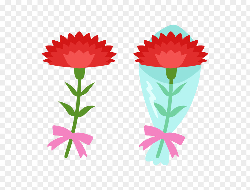 Mother's Day Material The Selection Carnation Clip Art PNG