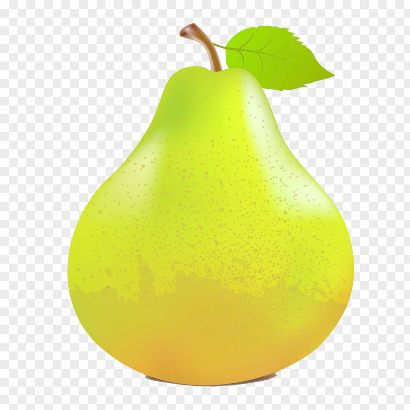 Pear Fruit PNG