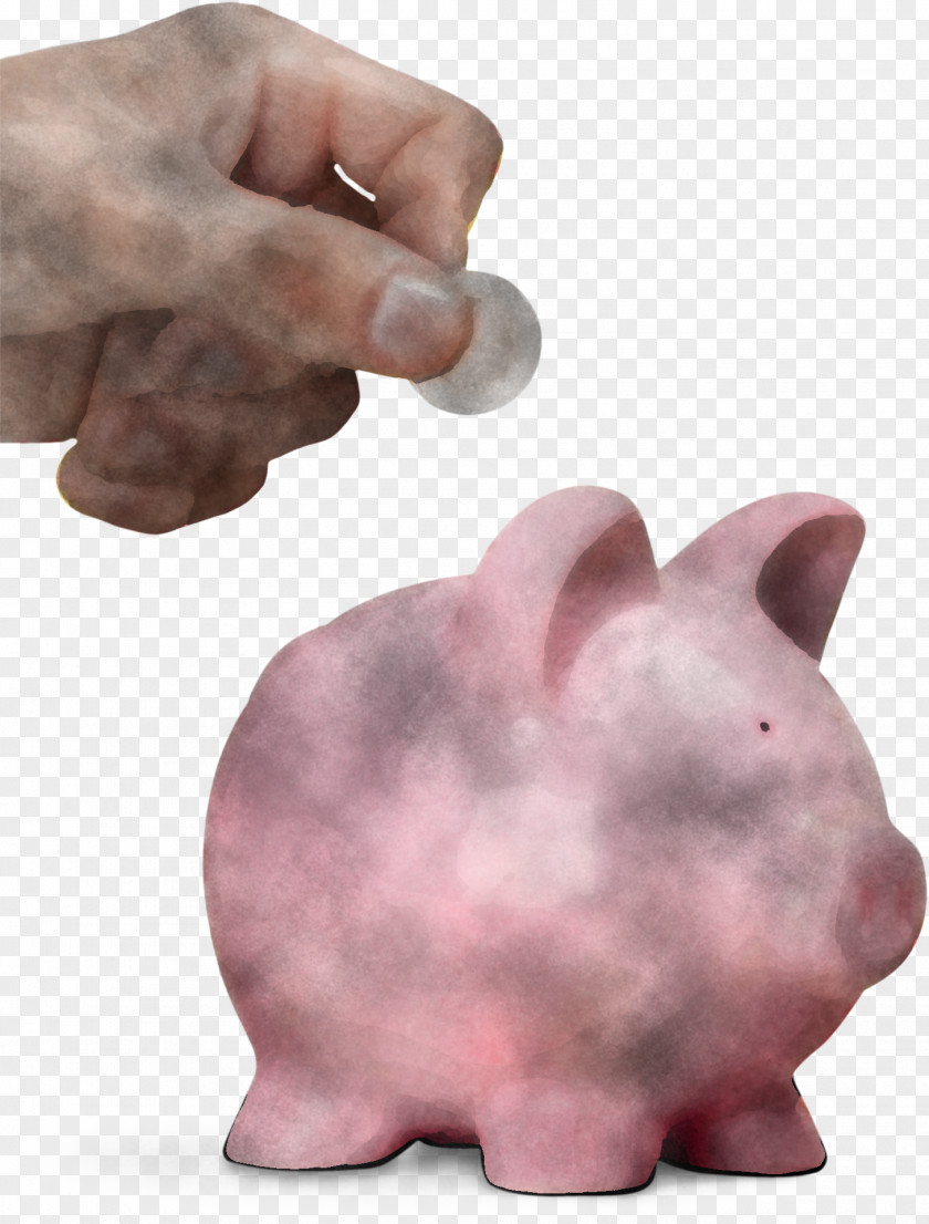 Snout Money Handling Piggy Bank PNG