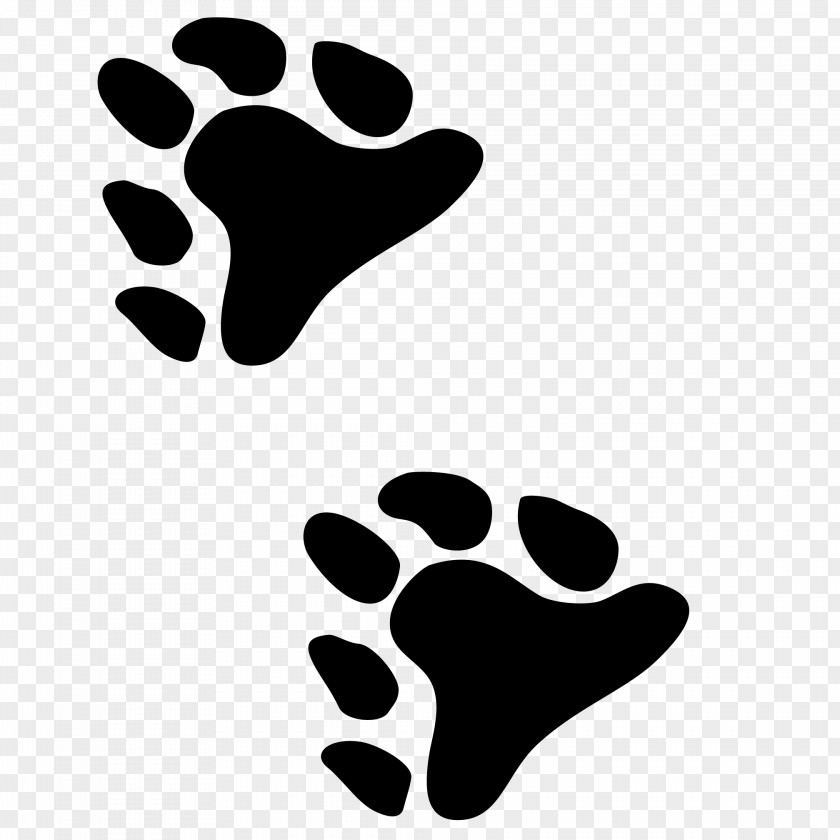 Bear Paw Line Point Clip Art PNG