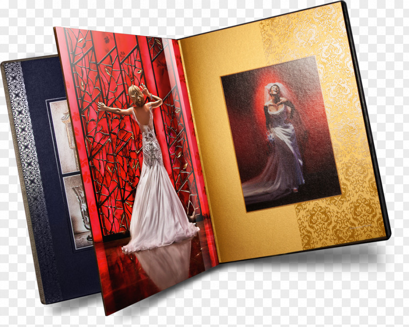 Photograph Photo Albums Photography Paper Photographer PNG