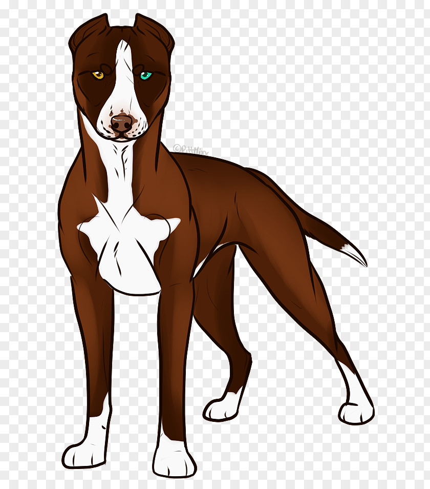 Pitbull Dog Breed Vertebrate Canidae Mammal PNG