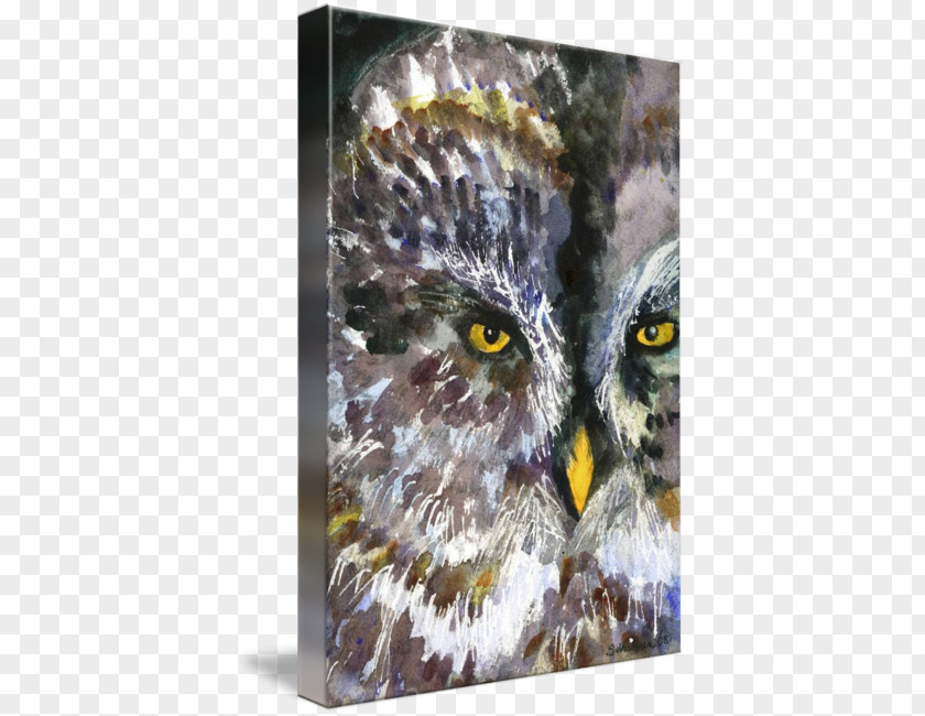Watercolor Painting Animals Owl Art Drawing PNG