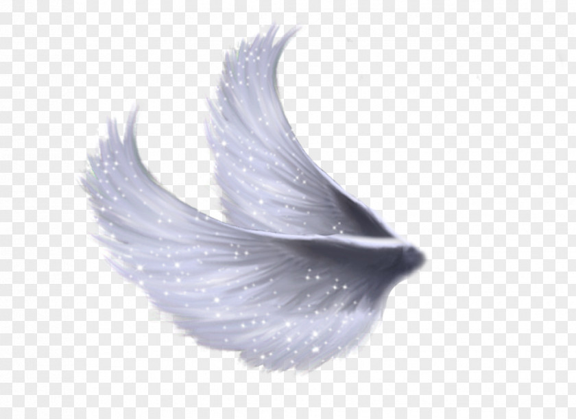 Angel Wings Clip Art PNG