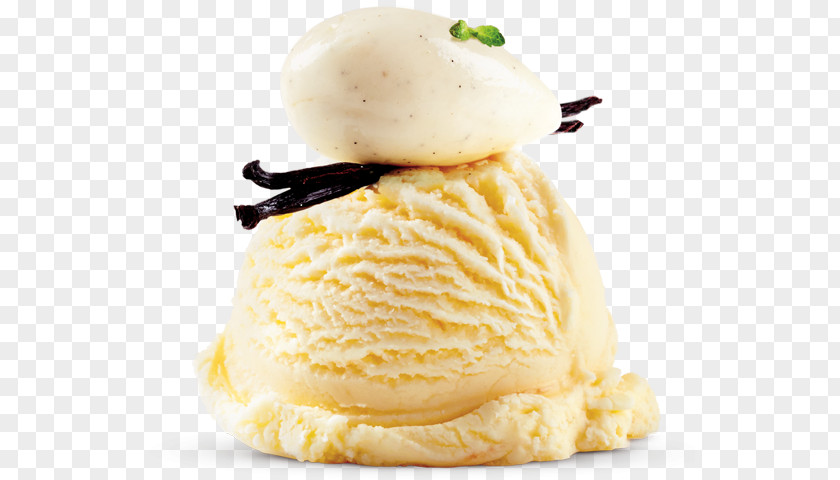 French Vanilla Gelato Ice Cream Sorbet Flavor PNG