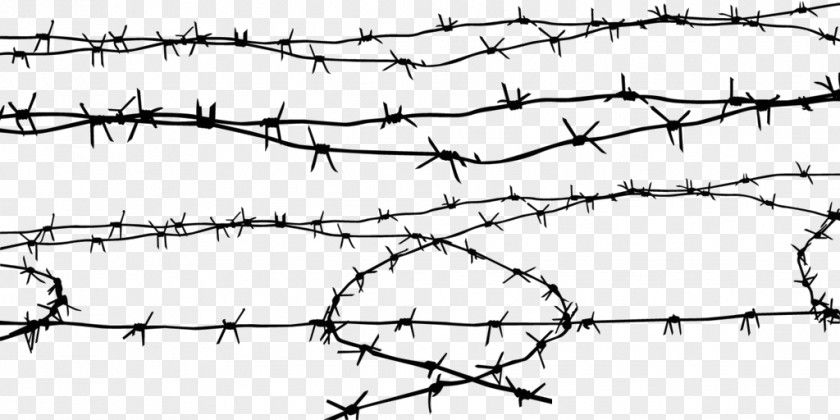 A Section Of Barbed Wire Computer File PNG