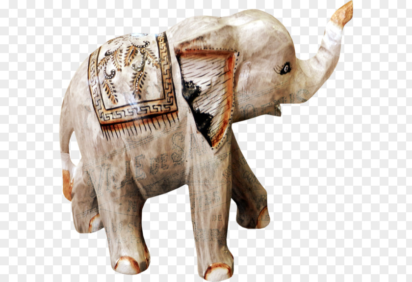 Elephant Indian African Circus PNG