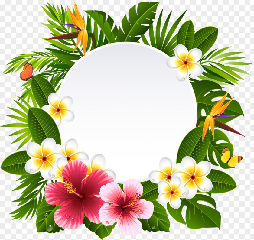 Flower Stock Photography Clip Art PNG