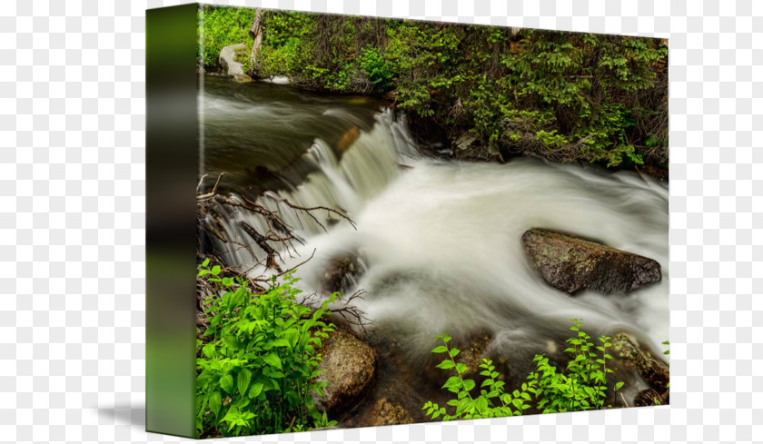 Mountain Stream Nature Reserve Water Resources Waterfall Tree Rainforest PNG