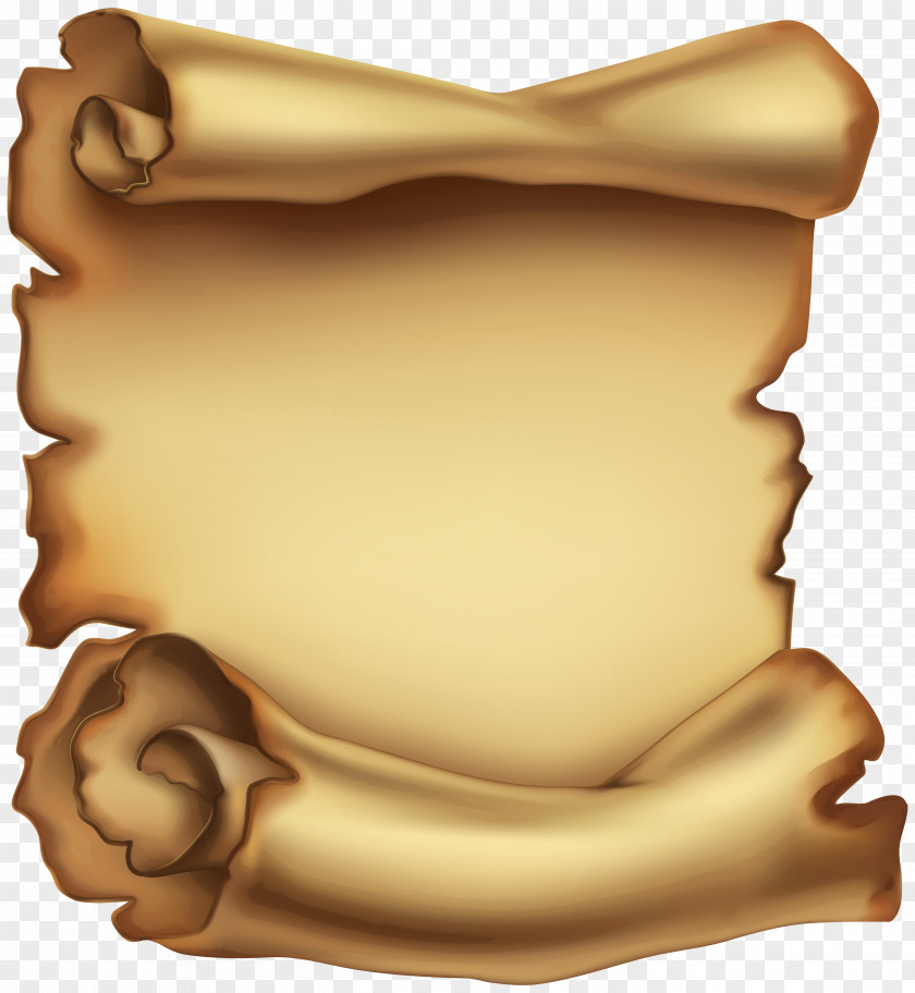Scroll Paper Photography Clip Art PNG