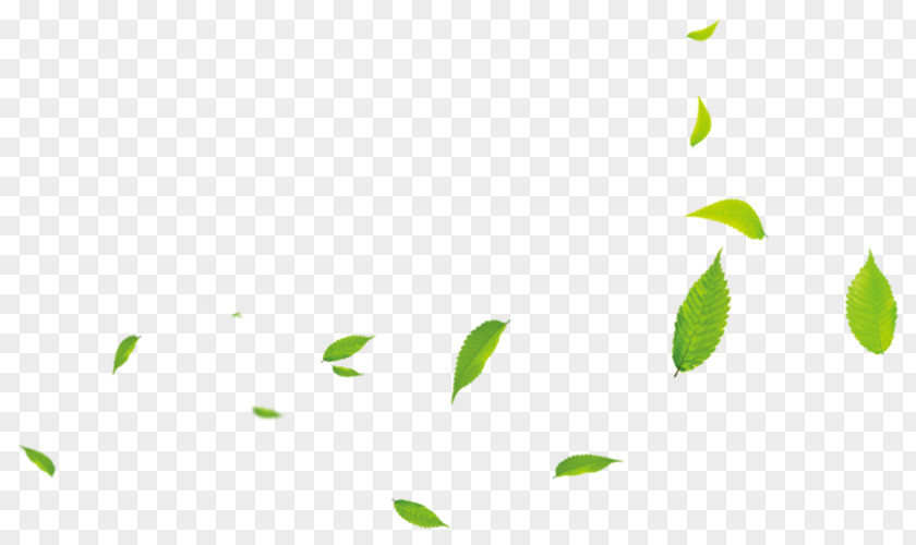 Small Green Leaves Leaf Download PNG