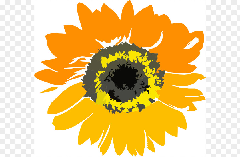 Sunflower Border Clip Art Common Educare Center PNG