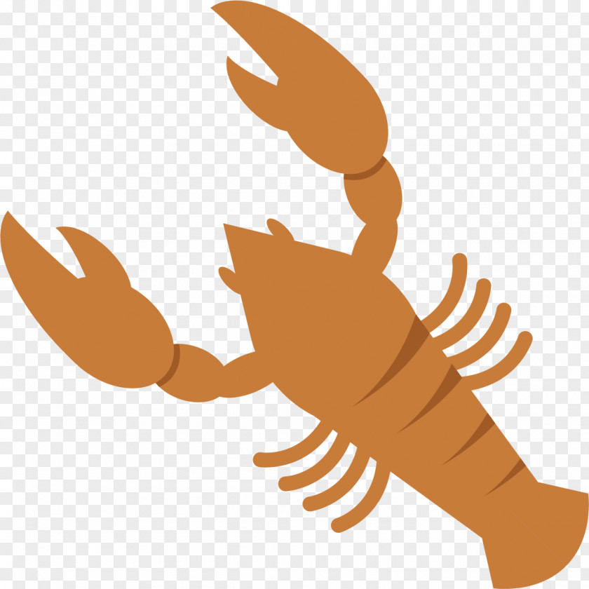 Coffee Lobster Crab Seafood Caridea Shrimp PNG