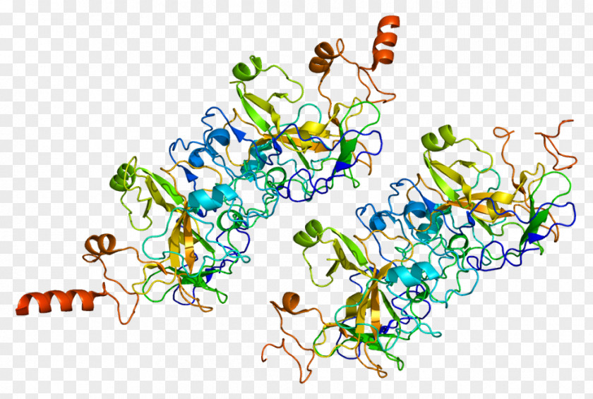 EHMT2 Histone Methyltransferase Epigenetics PNG