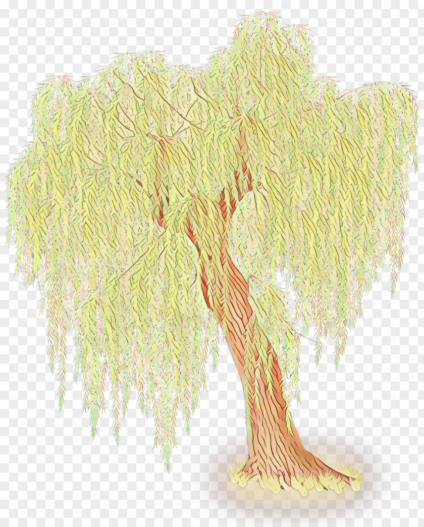 Trunk Willow Tree Woody Plant Branch PNG
