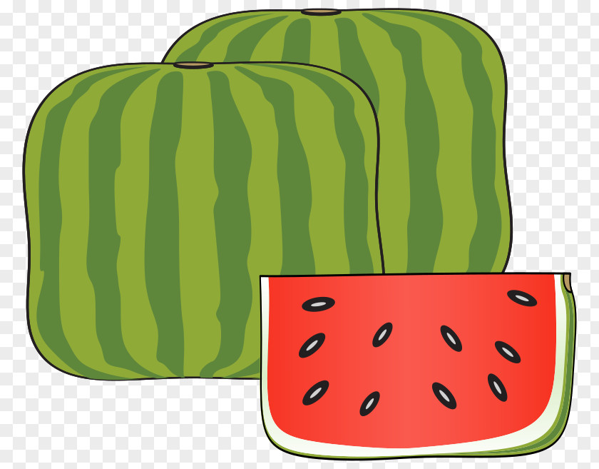Watermelon Honeydew Cucurbitaceae Cucumber PNG