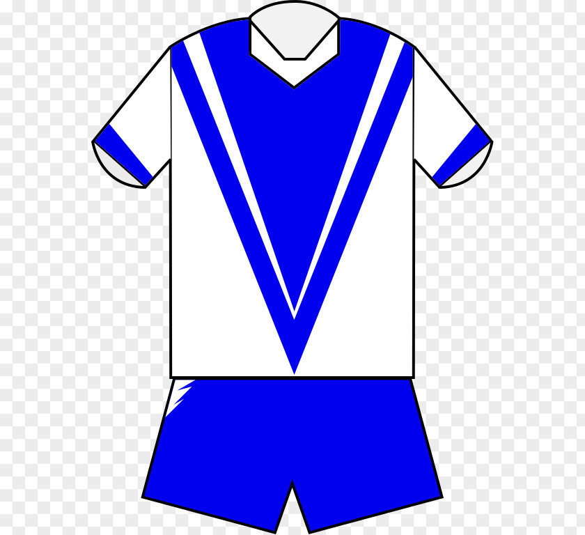 Canterbury Jersey Sydney Roosters Newcastle Knights Manly Warringah Sea Eagles 1974 NSWRFL Season PNG