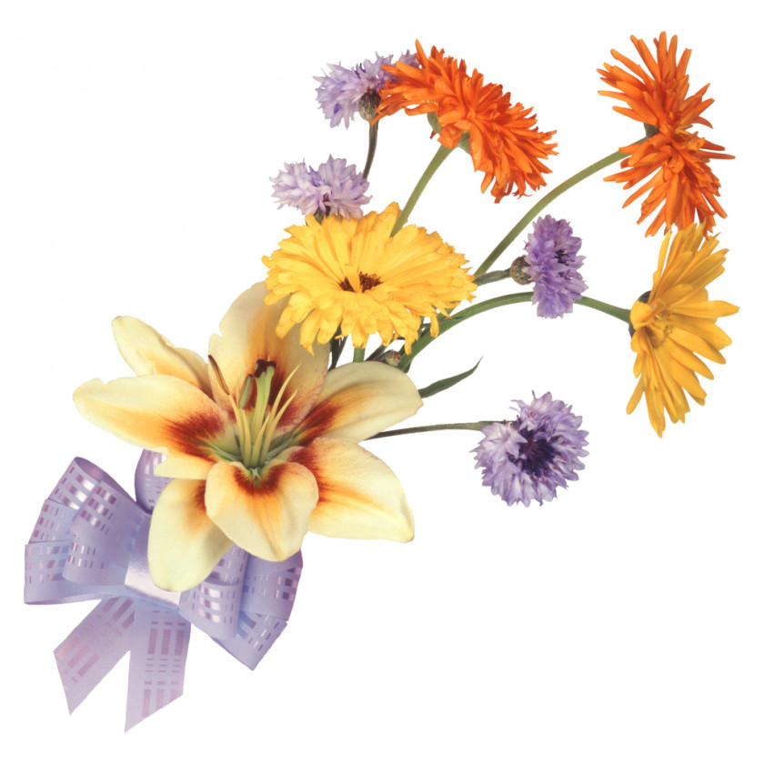 Flower Of The Fields Drawing Bouquet Lilium PNG