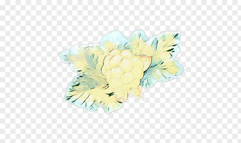 Hydrangea Peony Flowers Background PNG