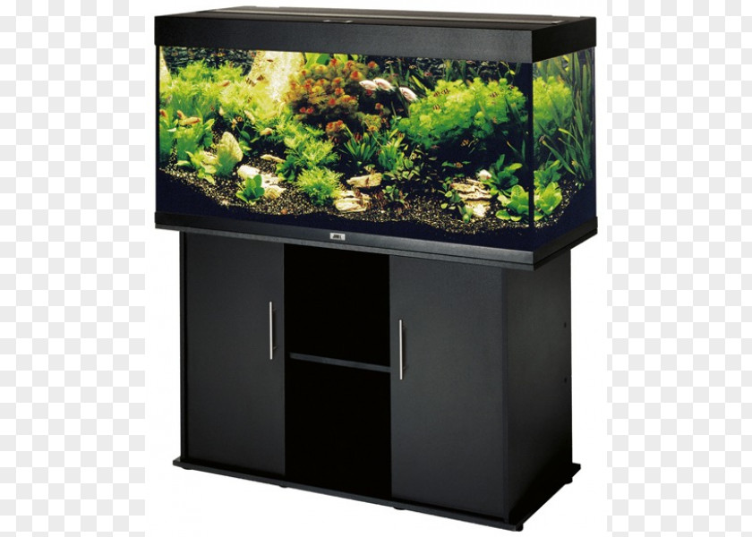 Table Aquarium Furniture Fish PNG
