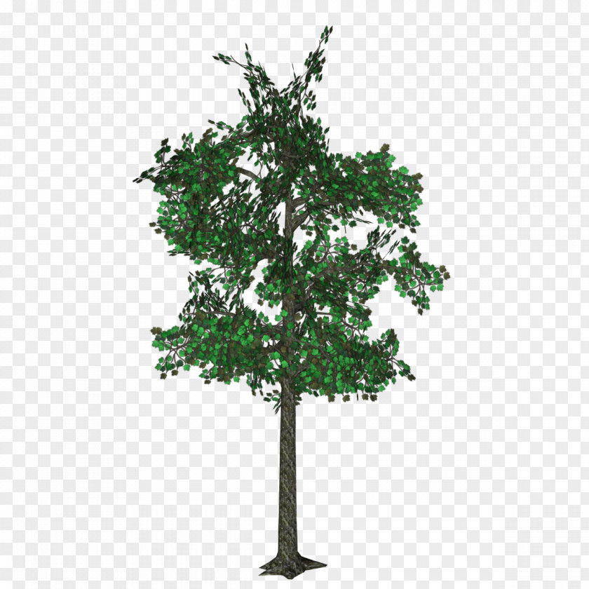 Tree English Oak World Menagerie Artificial Foliage Cotinus Coggyria In Pot Image Quercus Cerris PNG