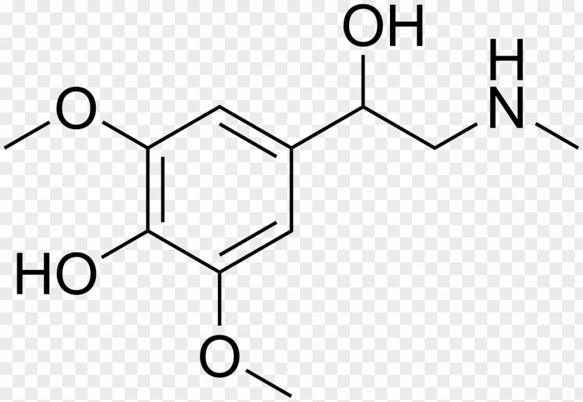Adrenaline Norepinephrine Catecholamine Neurotransmitter Hormone PNG
