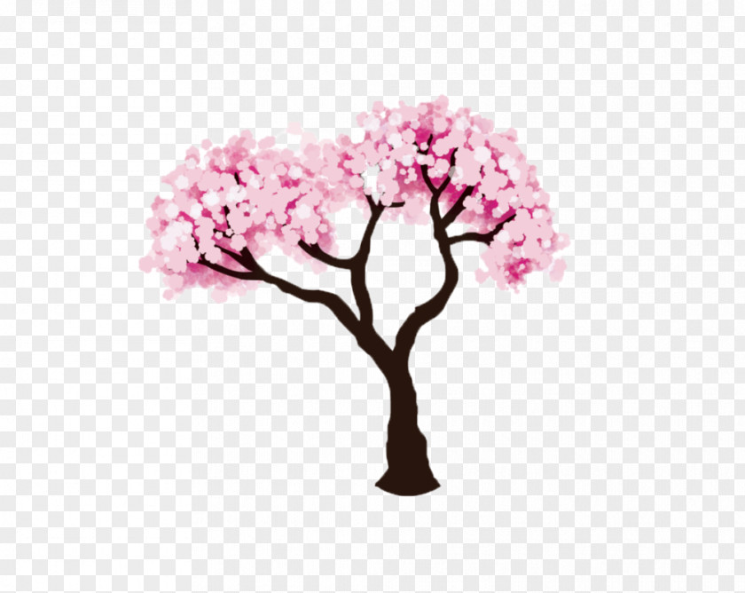 Cherry Blossom Drawing Fruit Tree PNG