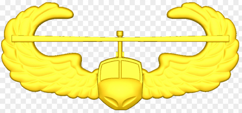 CNC Army Aviation Wings Product Design Font Angle PNG