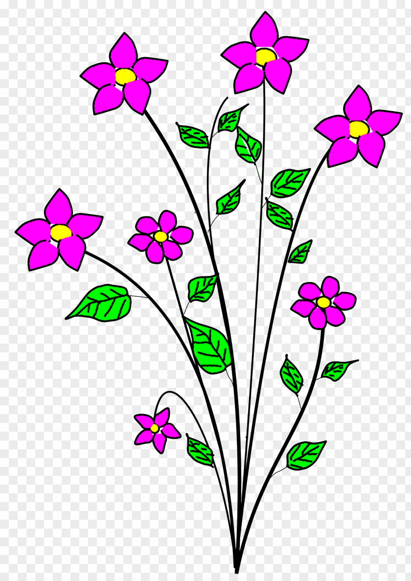 Flower Plant Pedicel Petal Stem PNG