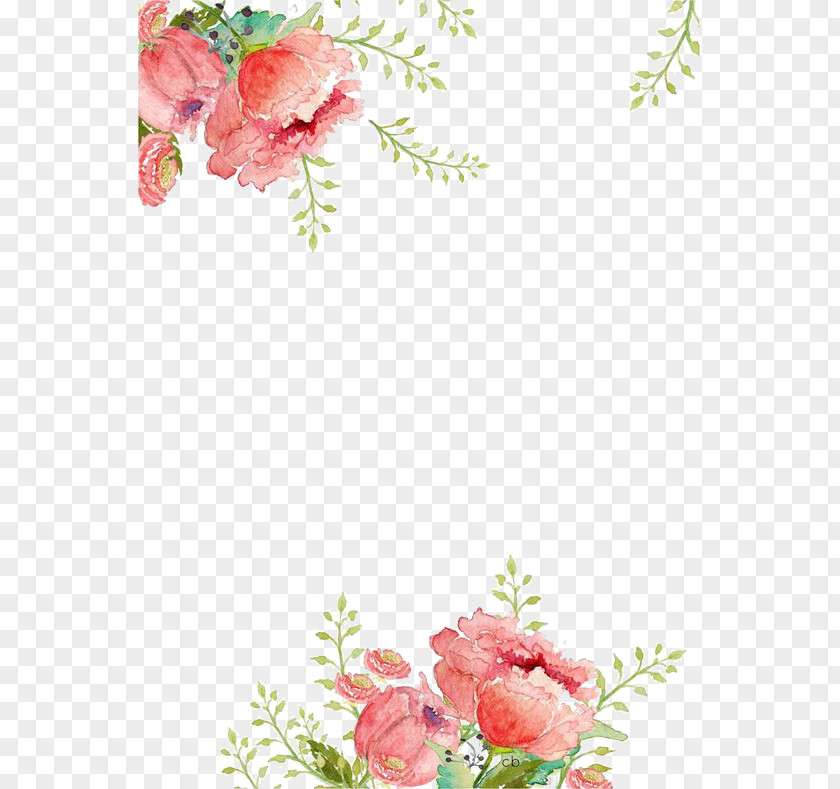 Flowers Background PNG background clipart PNG