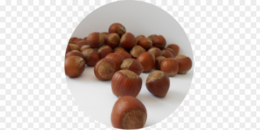 Walnut Hazelnut Common Hazel Fruit Food PNG