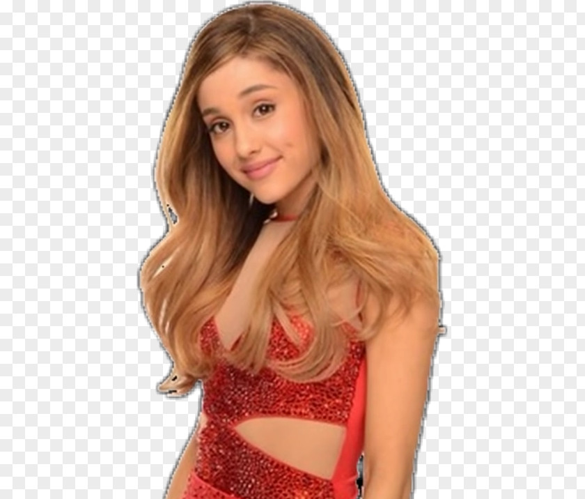 Ariana Grande Staples Center KIIS-FM Jingle Ball Victorious Photography PNG