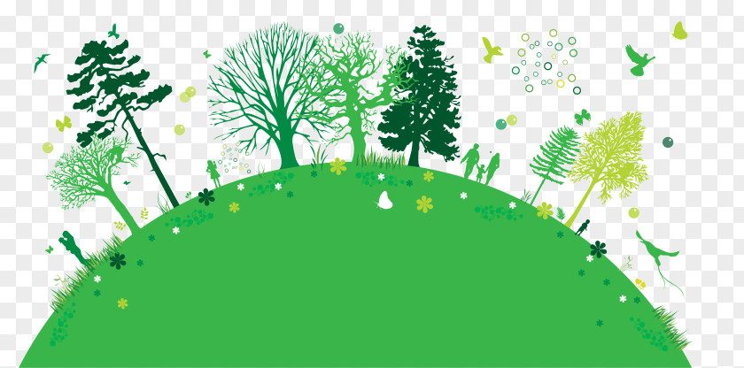 Tree Arbor Day Foundation Planting Clip Art PNG