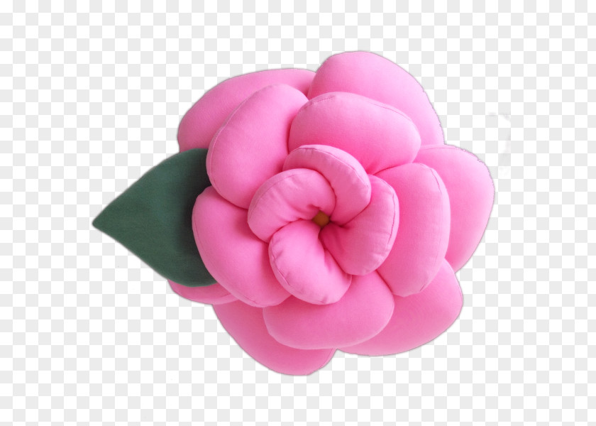 Flor Cut Flowers Pink Color Petal PNG