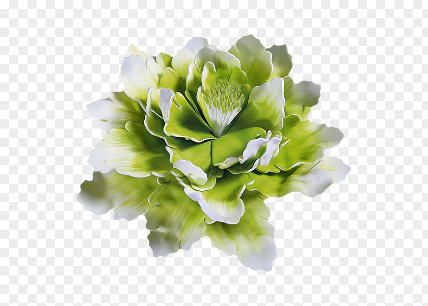 Flower Floral Design Cut Flowers LiveInternet Clip Art PNG