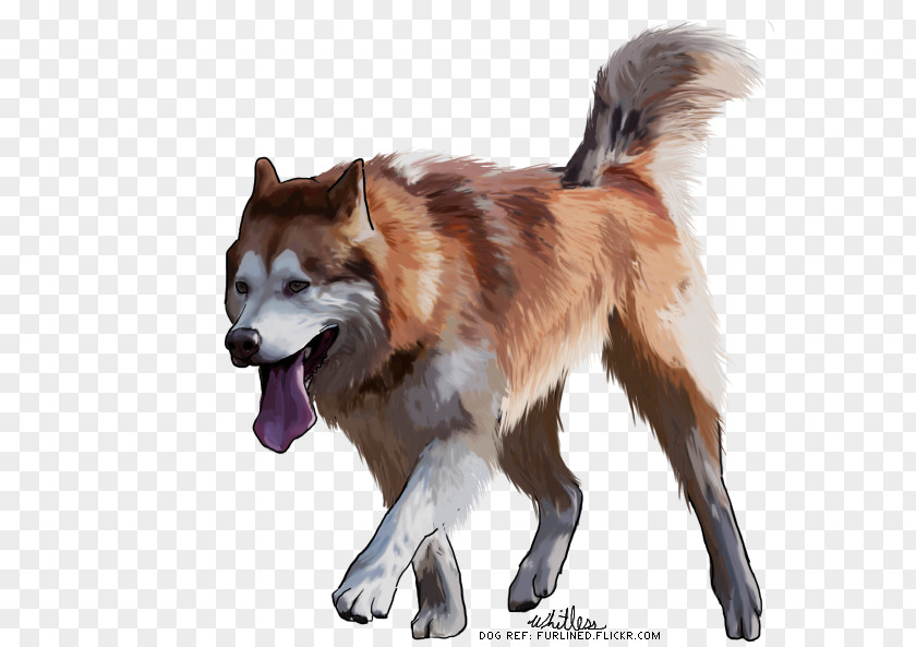 Husky Siberian Sakhalin Greenland Dog Icelandic Sheepdog Canadian Eskimo PNG