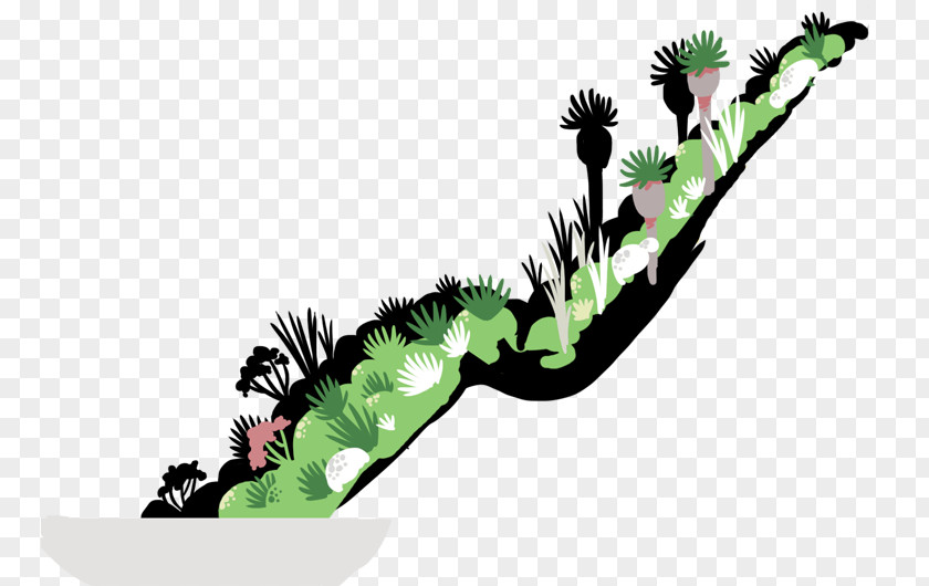 Ird Humboldt Current Galápagos Islands Biodiversity Climate Change PNG