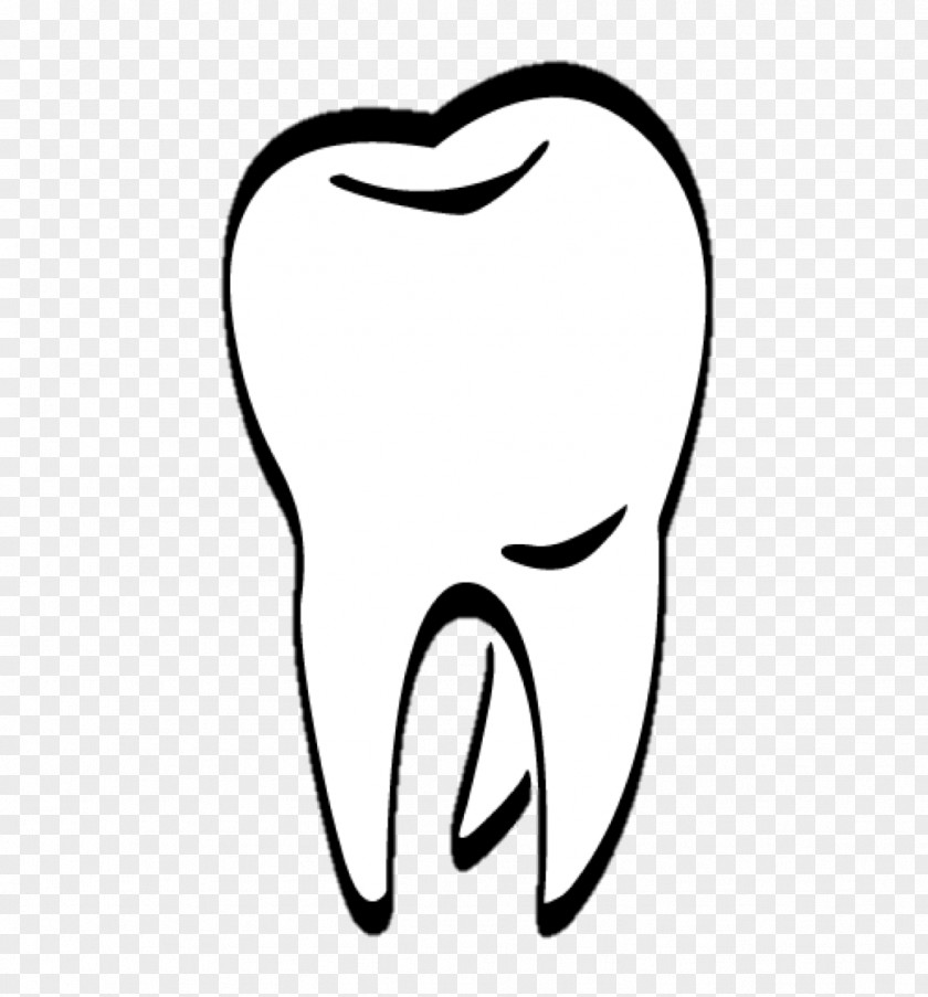 Teeth Human Tooth Dentist Clip Art PNG