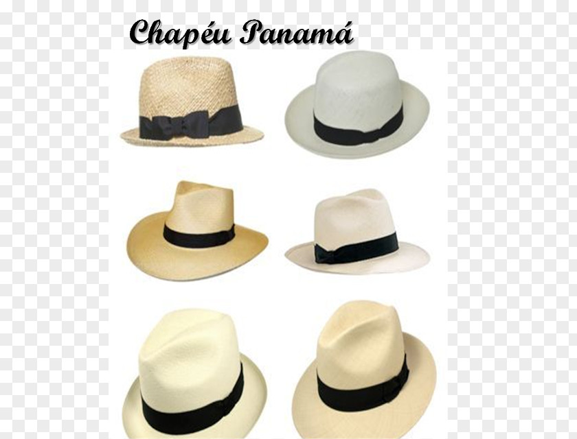 Hat Fedora Panama Fashion Praia Da Cacimba Do Padre PNG
