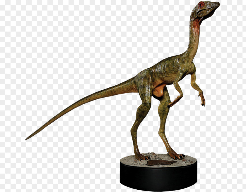 Jurassic Park Tyrannosaurus Compsognathus Velociraptor Cathy Bowman PNG
